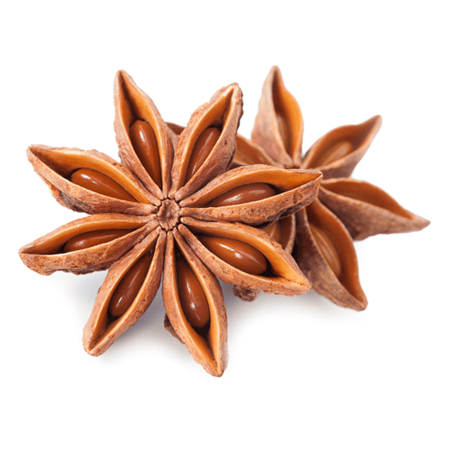 images/product/202507081751992592888HEERA_STAR_ANISEEDS_X_1KG.jpg