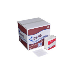 EP NAPKINS 2PLY WHITE X 125