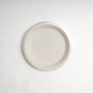 EP 9&amp;amp;amp;quot; BAGASSE PLATES X 50