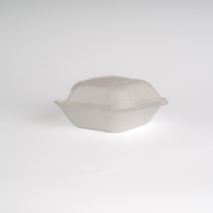 EP1 BAGASSE BOX X 50