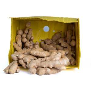 FRESH GINGER X 10KG