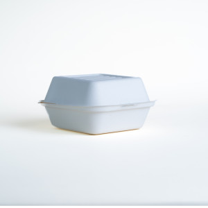 EP6 BAGASSE 6" X 100