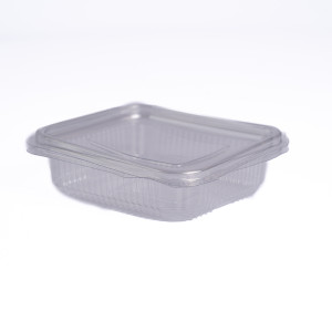 EP HINGED CONTAINER & LID 250CC X 200