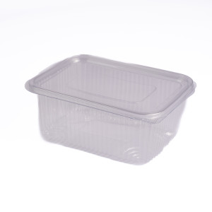 EP HINGED CONTAINER & LID 1000CC X 200