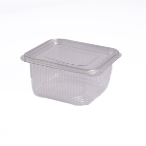 EP HINGED CONTAINER & LID 500CC X 200